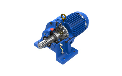 Cycloidal Gear Drive